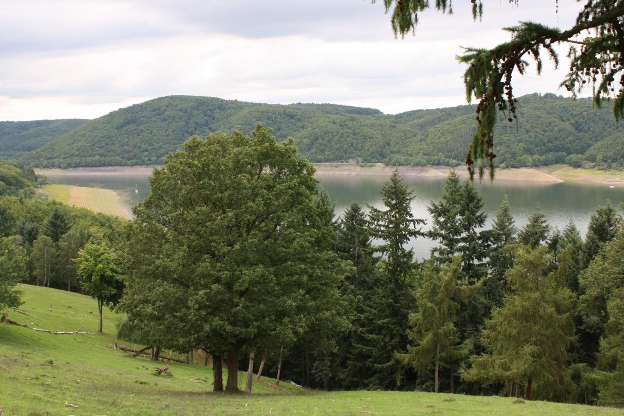 Bungalow; Haus 111 Ferienpark Twistesee, Bad Arolsen Εξωτερικό φωτογραφία
