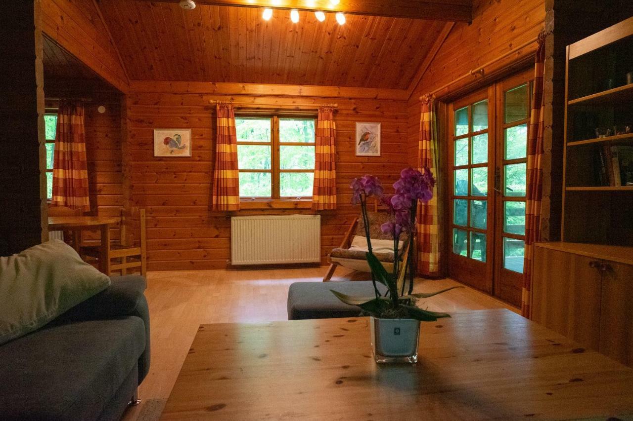 Bungalow; Haus 111 Ferienpark Twistesee, Bad Arolsen Εξωτερικό φωτογραφία